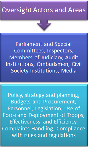 45_Security-Sector-Oversight-1.png